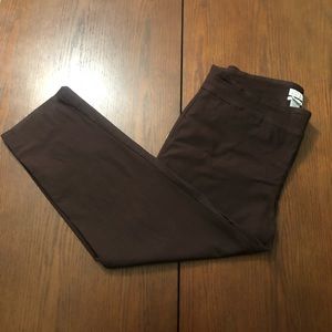 Charter Club brown dress pants 22w